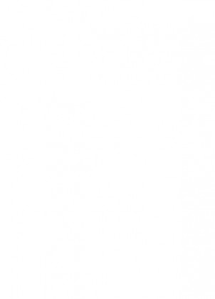 MDFL 113 Bílá SM 2800/2070/8