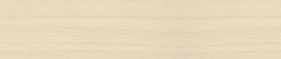 ABSB 4919/OHNE 64/0,8