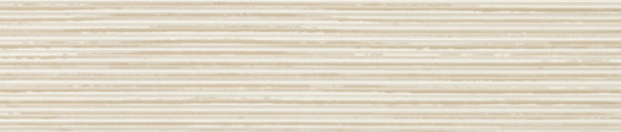 ABSB 564W/33 Fineline creme 8547 SN 64/2