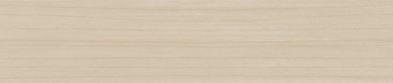 ABSB 2887W/01 19/0,8