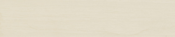 ABSB 6248/OHNE/LPE05 R27021 VV 28/0,8