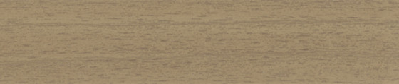 ABSB 589V/13 19/2