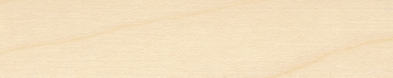 Veneer edge EUROPEAN MAPLE 44/2
