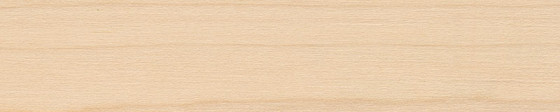 Veneer edge AMERICAN MAPLE 44/0,5