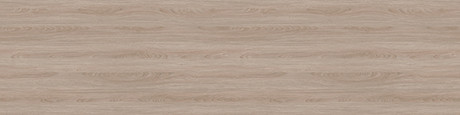 ABSB H1760 TM28 Kaštan ušlechtilý šedý 23/1