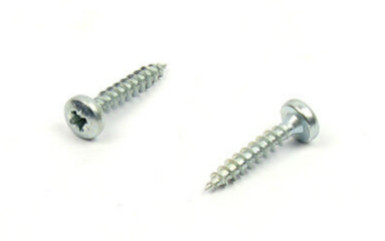 Screw 2.5x10mm semi-round head PZ zinc white
