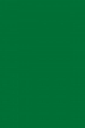 DTDL 9561 BS Oxide Green 2800/2070/18