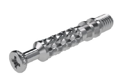 Cam screw-in dowel  for eccentric TM03 (M6, 34mm)
