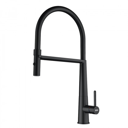 FRANKE Tap FG 0598.901 ICON matt black, shower/current