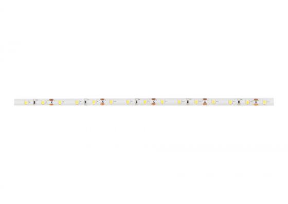 Stronglumio Led Strip 12W/M 12V (60 Led/M) 8Mm, White Cold Ip65