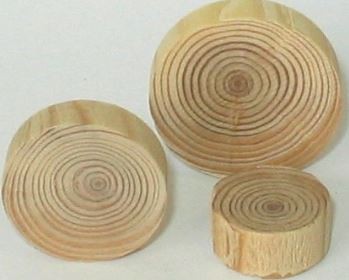 Knot branch larch 7/25mm