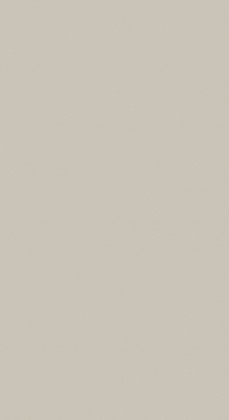 PD A 402 C Bright grey 4100/900/39 spf