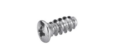 HETTICH 40006 Euroscrew 6.3 x 11 mm, half round head