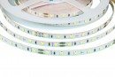 TL-LED strip warm white 4.8W 24V 8mm