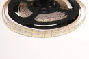 TL-LED strip 24W/m 12V 10mm cold white