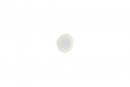 TULIP Knob Modo R-white