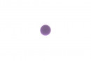 TULIP Knob Bala purple + screw