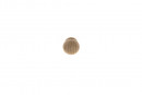 TULIP Knob Adam raw beech + screw