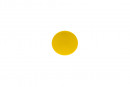 TULIP Knob Sola yellow + screw