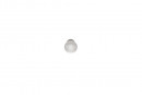 TULIP Knob Jota nickel matt + screw