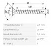 SPAX screw 2,5x25 countersunk head PZ, W, 4C MH
