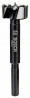 BOSCH 2608577009 Forstner drill 25 mm