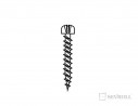 SEVROLL 20041 screw 2.5x18mm half round head zinc white
