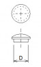 Plug - cap with 15mm spruce pin