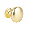 TULIP Knob Jota gold matt + screw