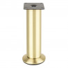 StrongLegs furniture leg FS001, 200Rmm, gold brushed