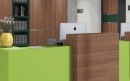ABS edge tape without glue U630 ST9 Lime Green, 23/0,8 mm