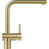 FRANKE Tap FC 3834.504 ATLAS NEO all stainless steel gold