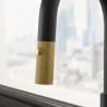 FRANKE tap FG 4767.904 Maris Stripes, Black matte/gold