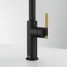 FRANKE tap FG 4767.904 Maris Stripes, Black matte/gold