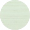 IF-adhesive cover cap 20mm 15pcs 40037 elm