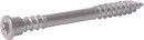 TK-RAPI-TEC Teraso Top 5,5x60mm T25 stainless steel