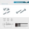 StrongFix Screw PZ 5x40 half-round head zinc white PZ2