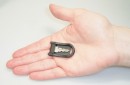LEHMANN Replacement insert Z44 / P4 C1, 18301-18400