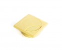 STRONG Cable exit 60 mm square pine