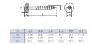 Phillips screw 6x100/60 semi-round head zinc white, partial thread