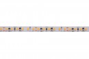 StrongLumio LED strip 6W/m 24V(120 LEDs/m) 8mm CRI90 cold white (5Y warranty)