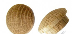 Plug - cap with 15mm oak pin