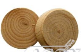 Knot branch beech 7/25mm