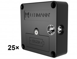 LEHMANN Industrial packaging el. of Captura RFID 13.56Mhz Mifare locks