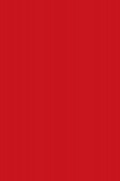 DTDL 7113 BS CHILI RED 2800/2070/22