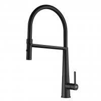 FRANKE Tap FG 0598.901 ICON matt black, shower/current