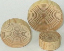 Knot branch larch 7/25mm