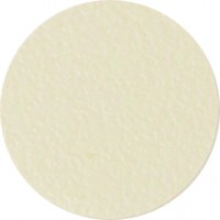 IF-adhesive cover cap 13mm 20pcs 9833 ivory