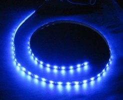 SAL LED strip 4.8W/m 12V 8mm blue IP20