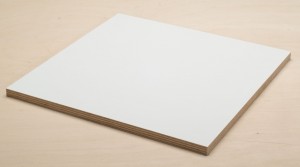 PV FOLI BŘÍZA BÍLÁ 2500/1250/15